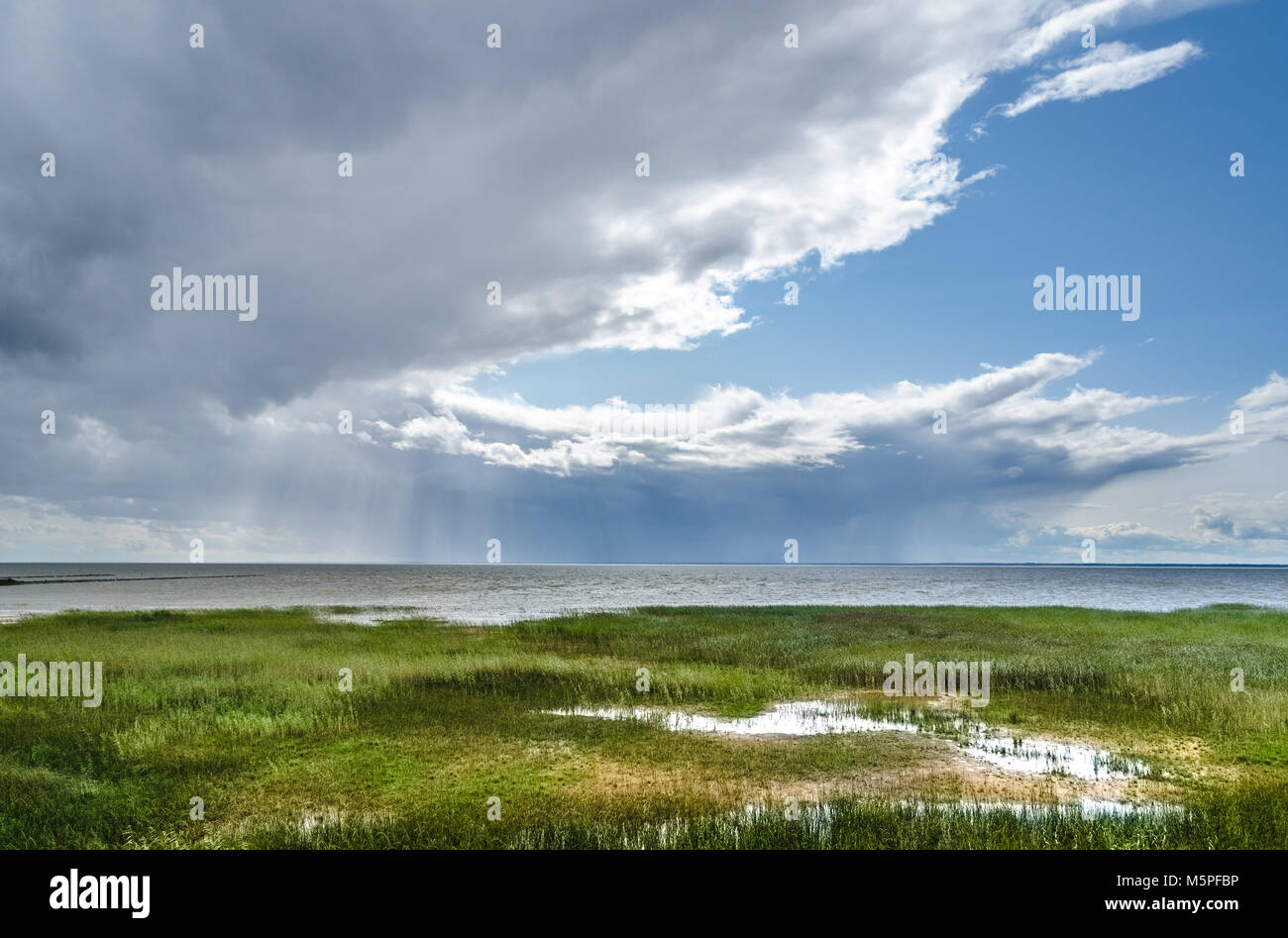 On the shores of Lake Võrtsjärv against cloudy and sunny skies in summer. It's second largest lake in Estonia (behind Lake Peipus). Stock Photo