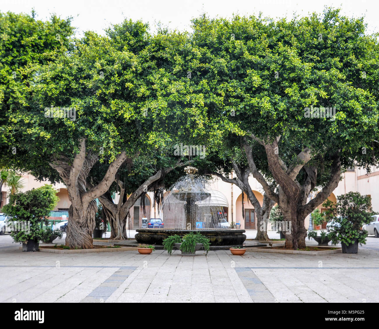 A fountain and trees in  a piazza in Marsala, Sicily, Italy. Stock Photo