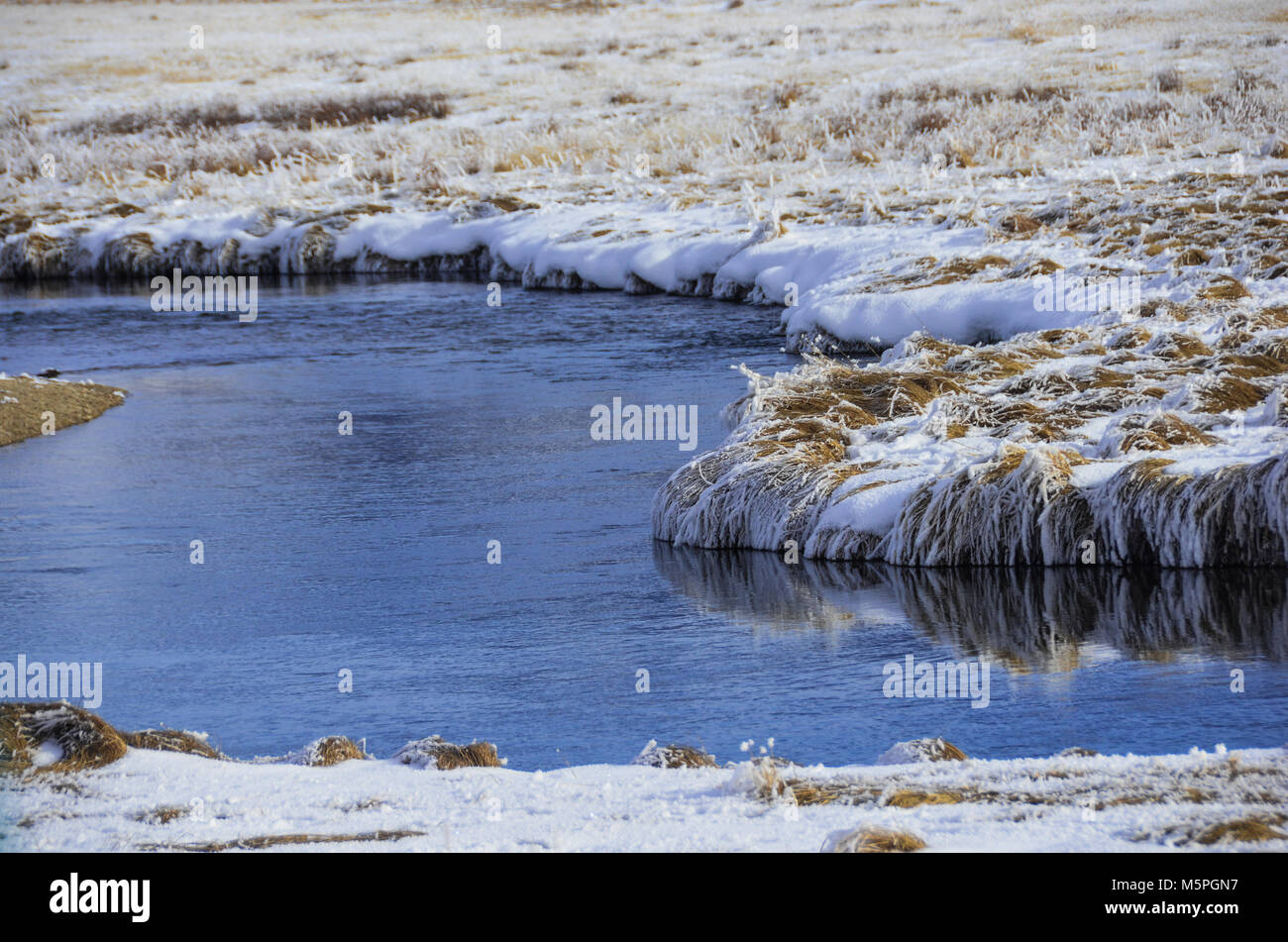 A lazy riverbend provides much-needed water to an Elk refuge in Driggs, Idaho. The grass on the riverbed lays flat with the heaviness of snow. Stock Photo