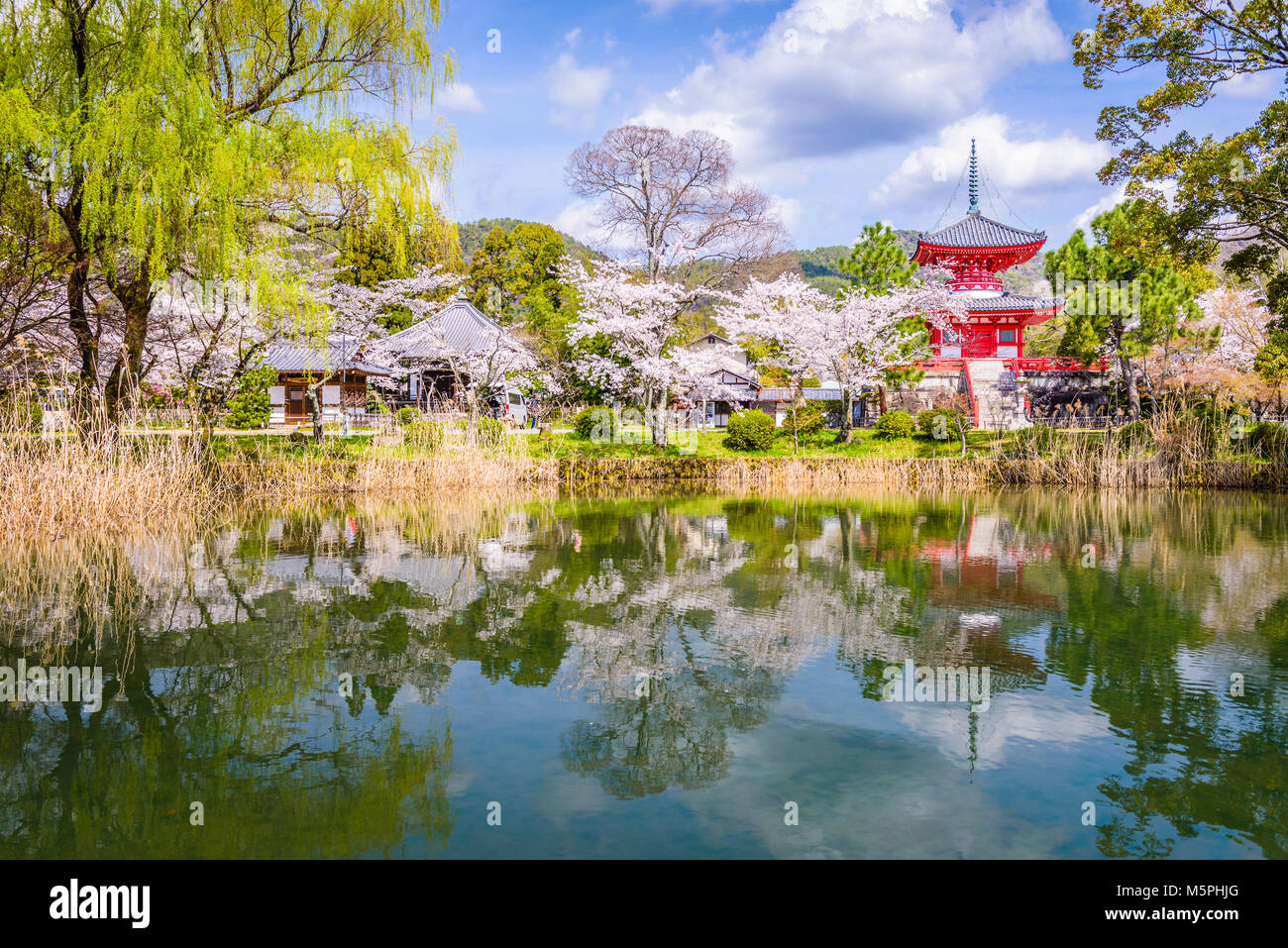 Kyoto, Japan at Daikaku-ji Temple. Stock Photo