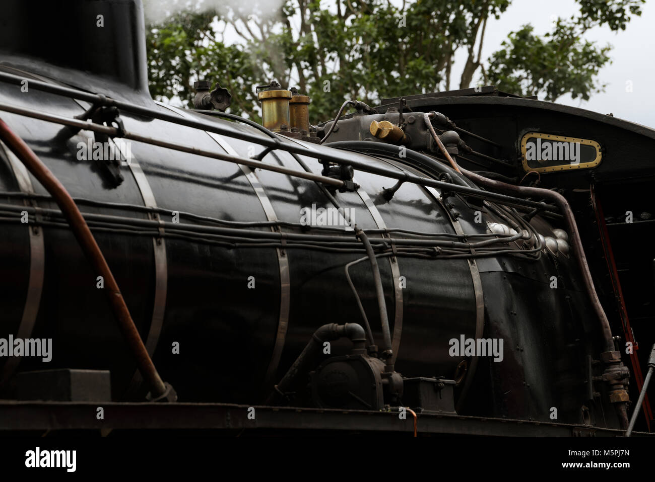 Steam escaping from a brass relief valve on a refurbished vintage D19 class steam locomotive Stock Photo