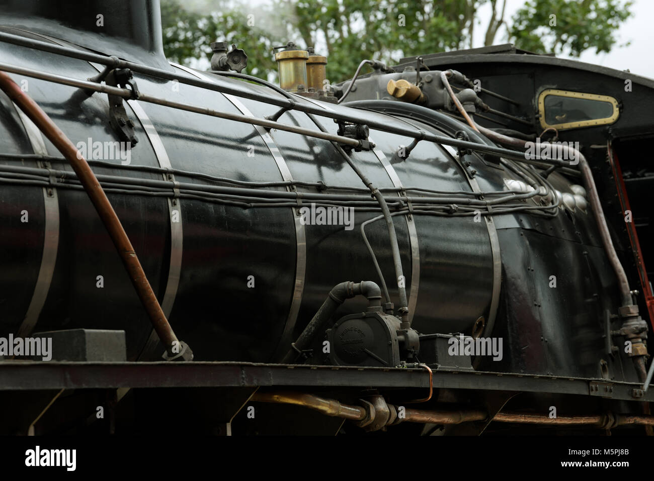 Durban, South Africa, steam escaping from brass valves on firebox section of black class 19D refurbished steam locomotive, transport, history Stock Photo
