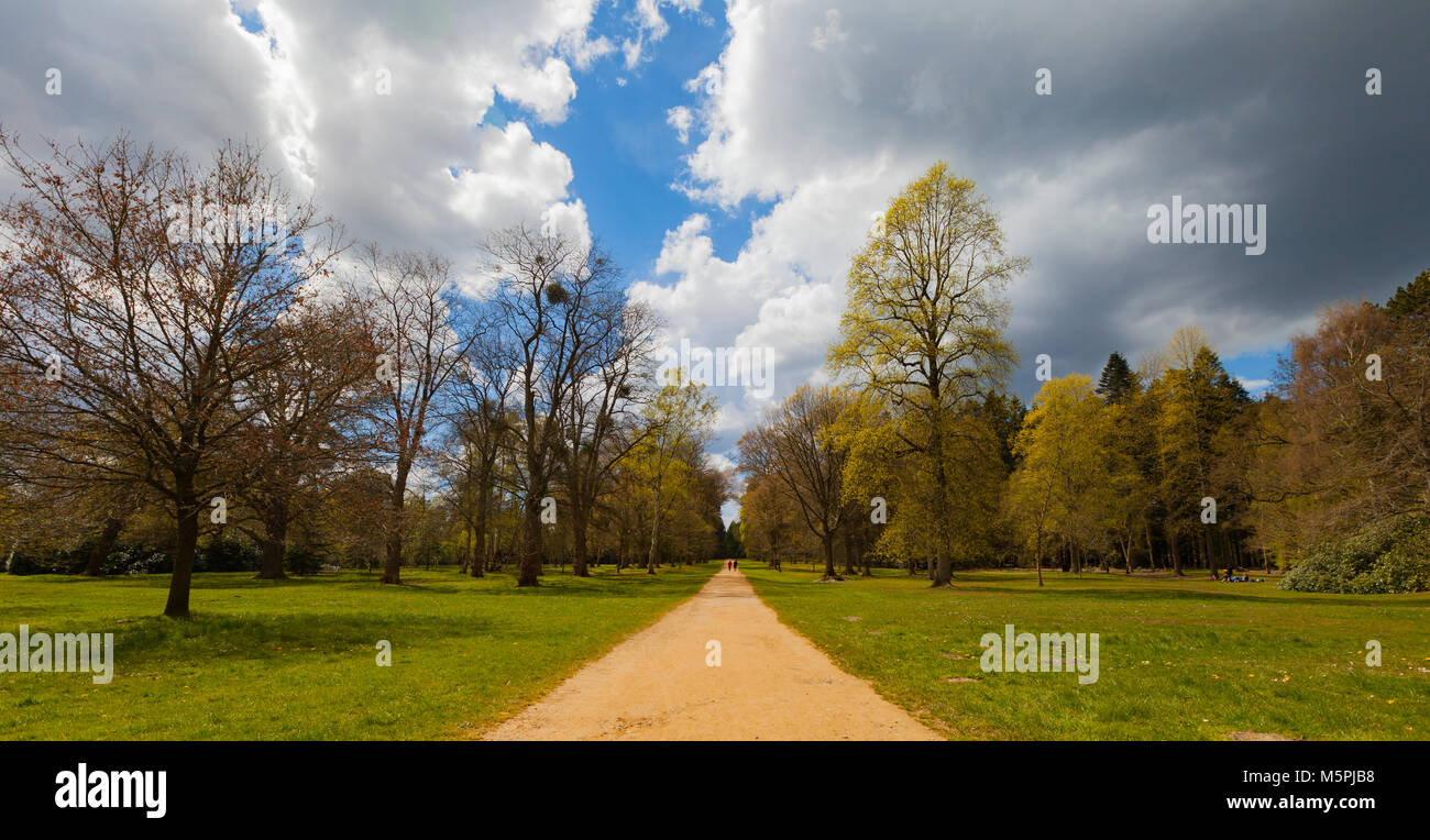 Tranquil yellow pathway surrounded by trees with a dramatic sky in the background. Wide angle. Virginia Waters Park, London, UK Stock Photo