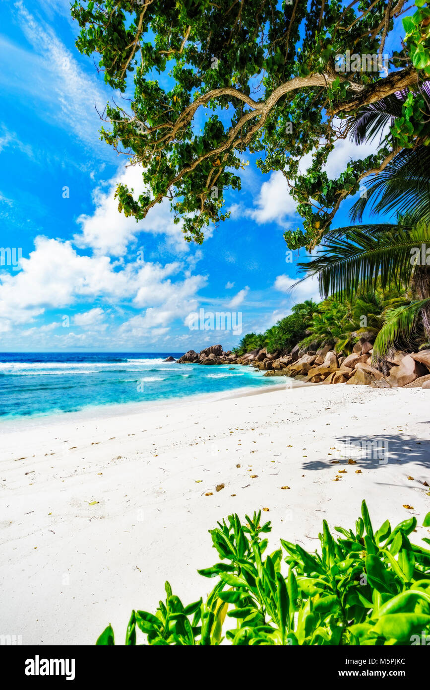 granite rocks, white sand, turquoise water, blue sky and palm trees on paradise beach on the seychelles, anse cocos, la digue Stock Photo