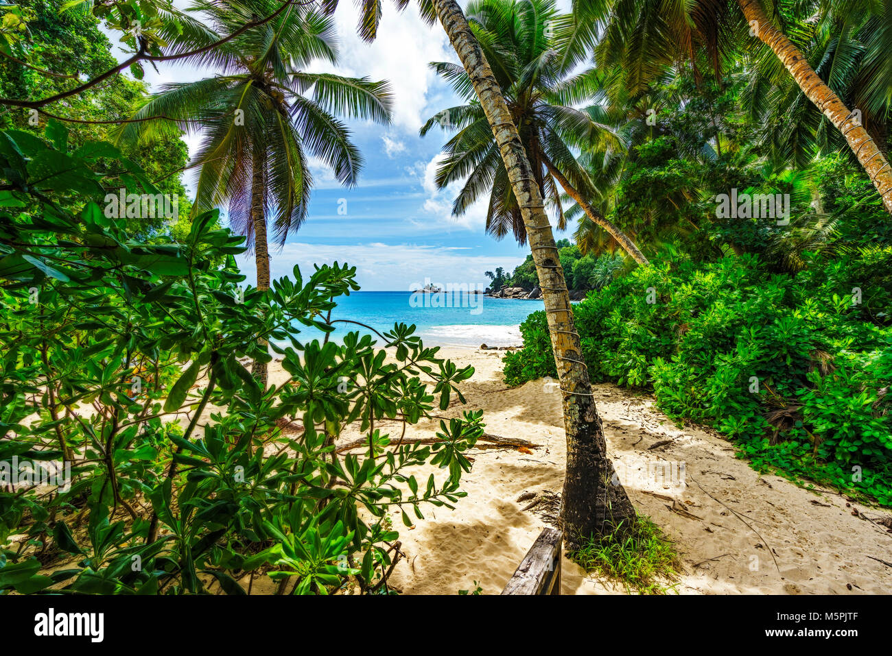 Tropical paradise beach hi-res stock photography and images - Alamy