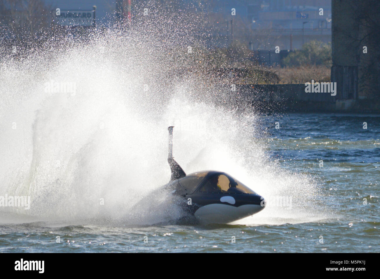 Predator Adventures offering thrill-rides in their Seabreacher Watercraft Killer Whale submersible speedboat in Royal Victoria Dock London Stock Photo