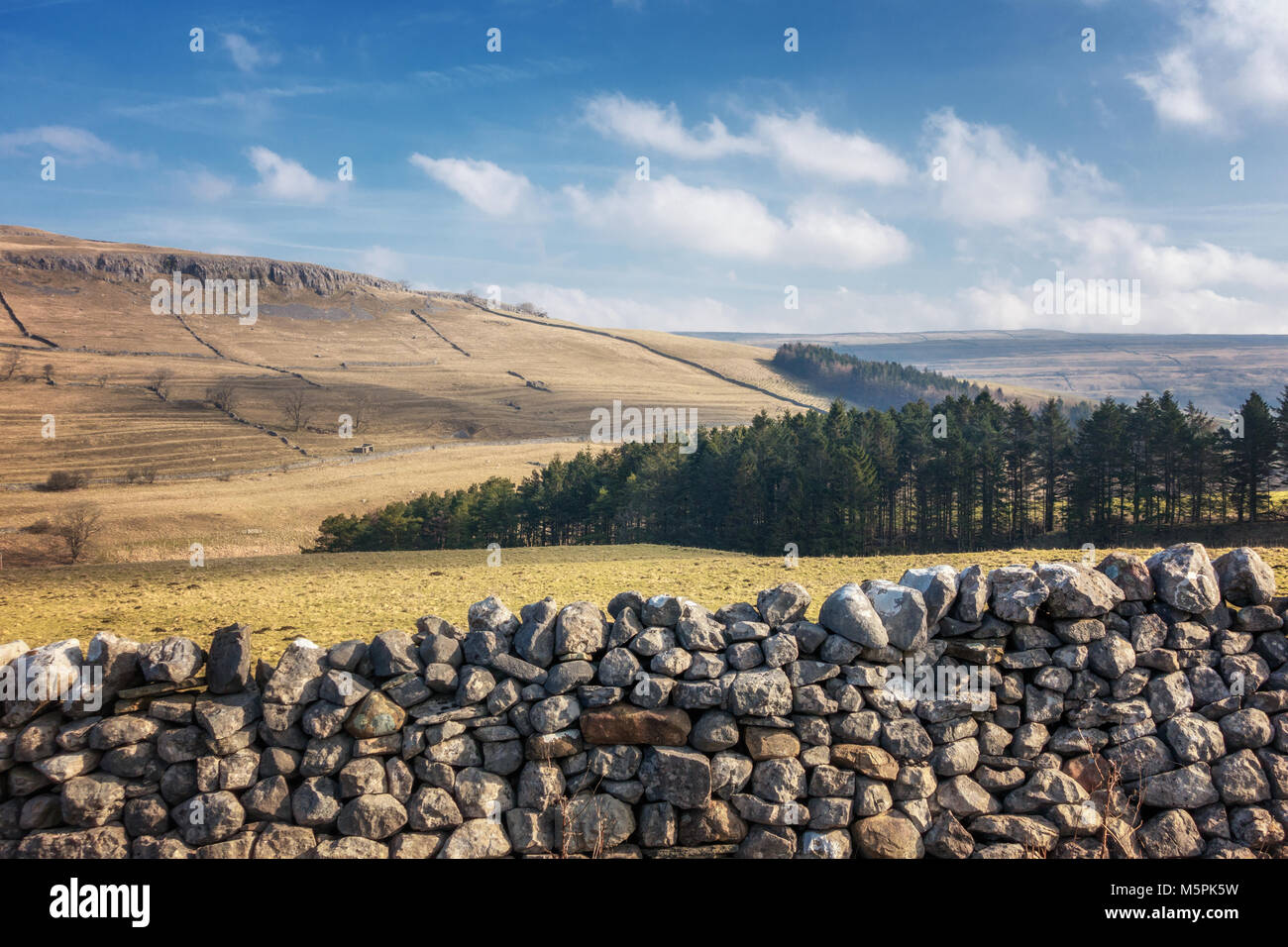 UK landscape: Beautiful view of the Wharfedale valley over a limestone wall from Littondale looking north over limestone crags and pine trees Stock Photo