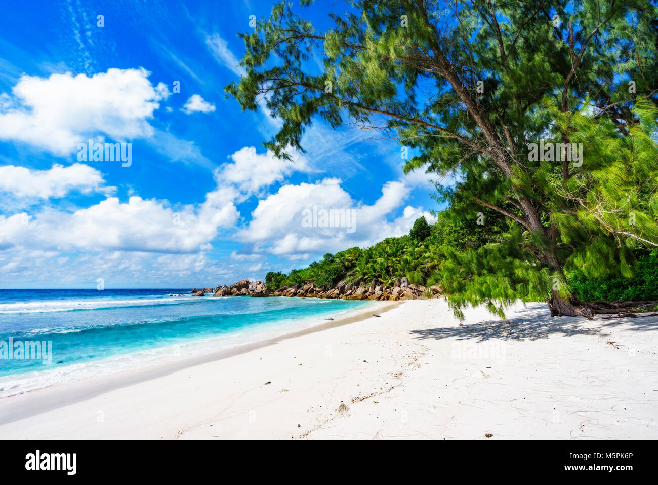 granite rocks, white sand, turquoise water, blue sky and palm trees on paradise beach on the seychelles, anse cocos, la digue Stock Photo