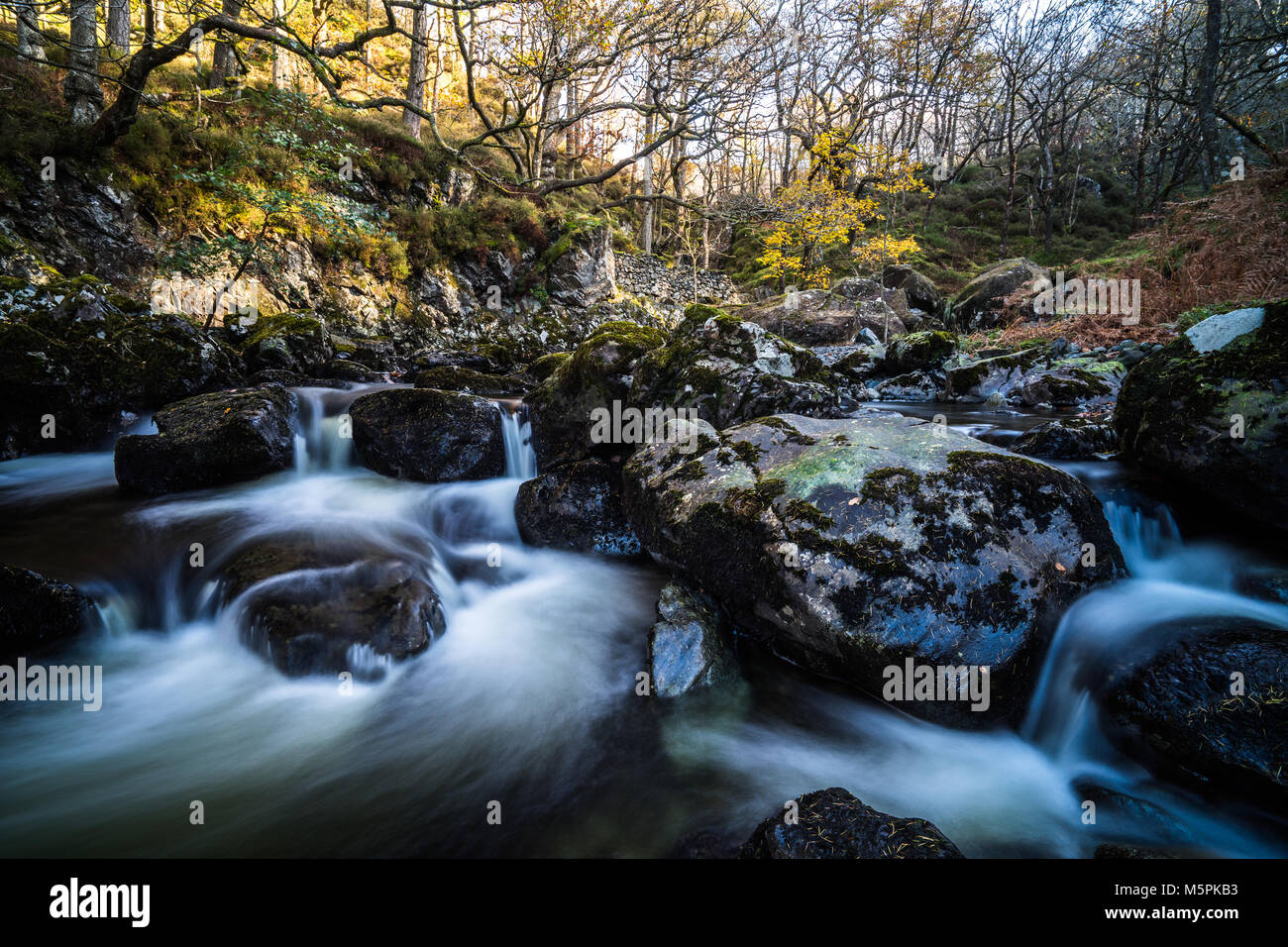 Watery scenes hi-res stock photography and images - Alamy