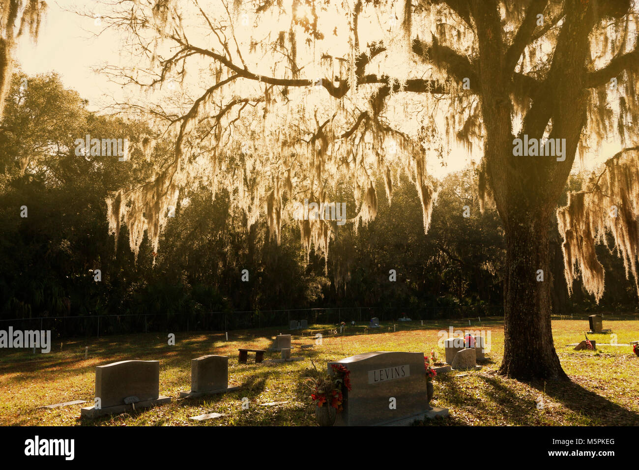 Historic Red Level cemetary in Florida Stock Photo Alamy