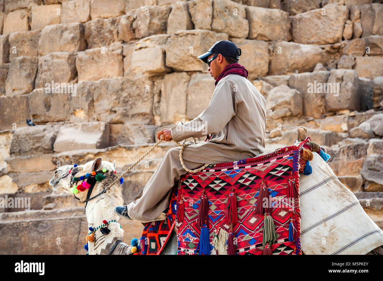 Camel egypt hurghada hi-res stock photography and images - Alamy