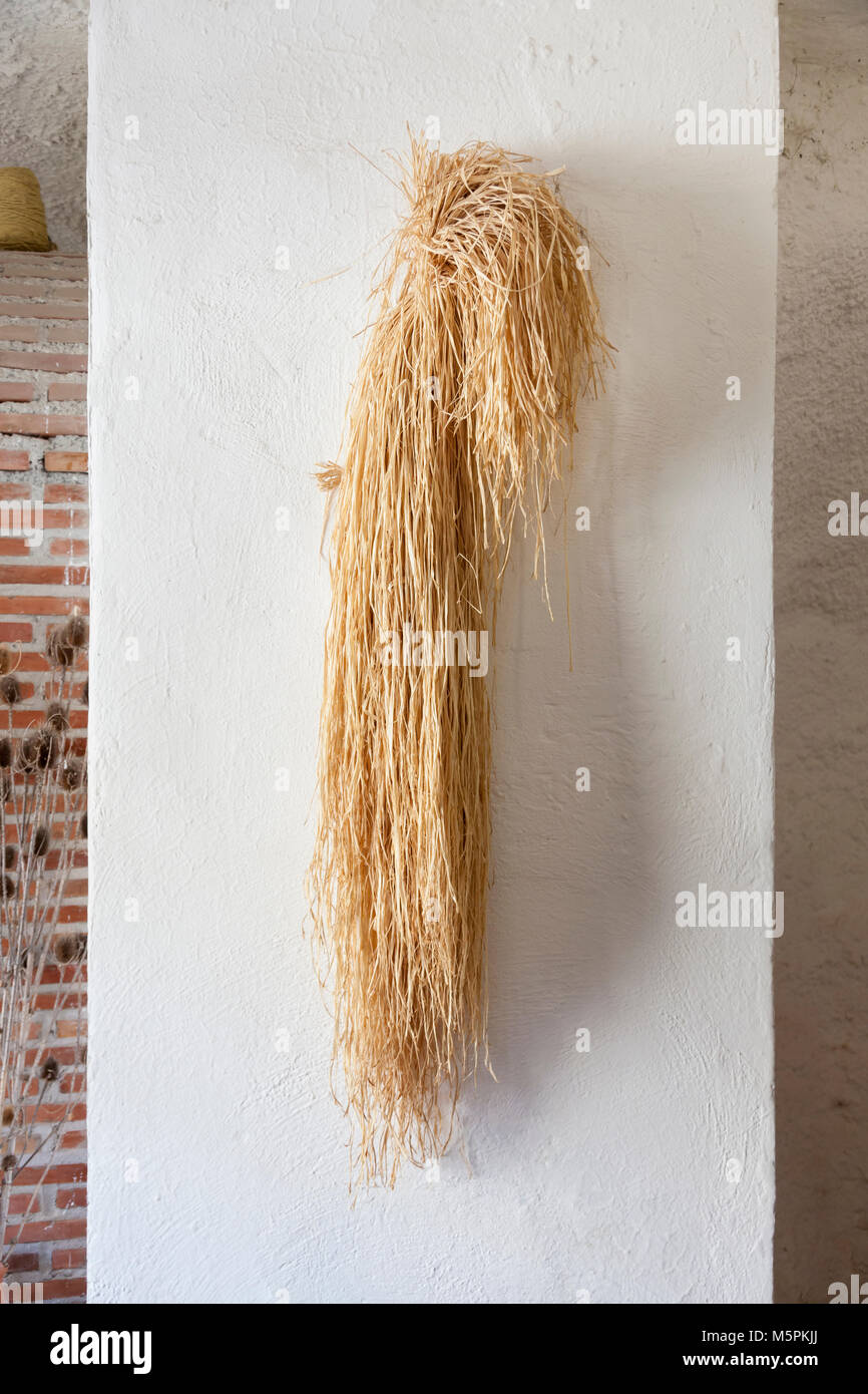 Granada, Spain: Palm fiber hung to dry at the Cuevas del Sacromonte Museum in the Barrio Albaicín. Stock Photo