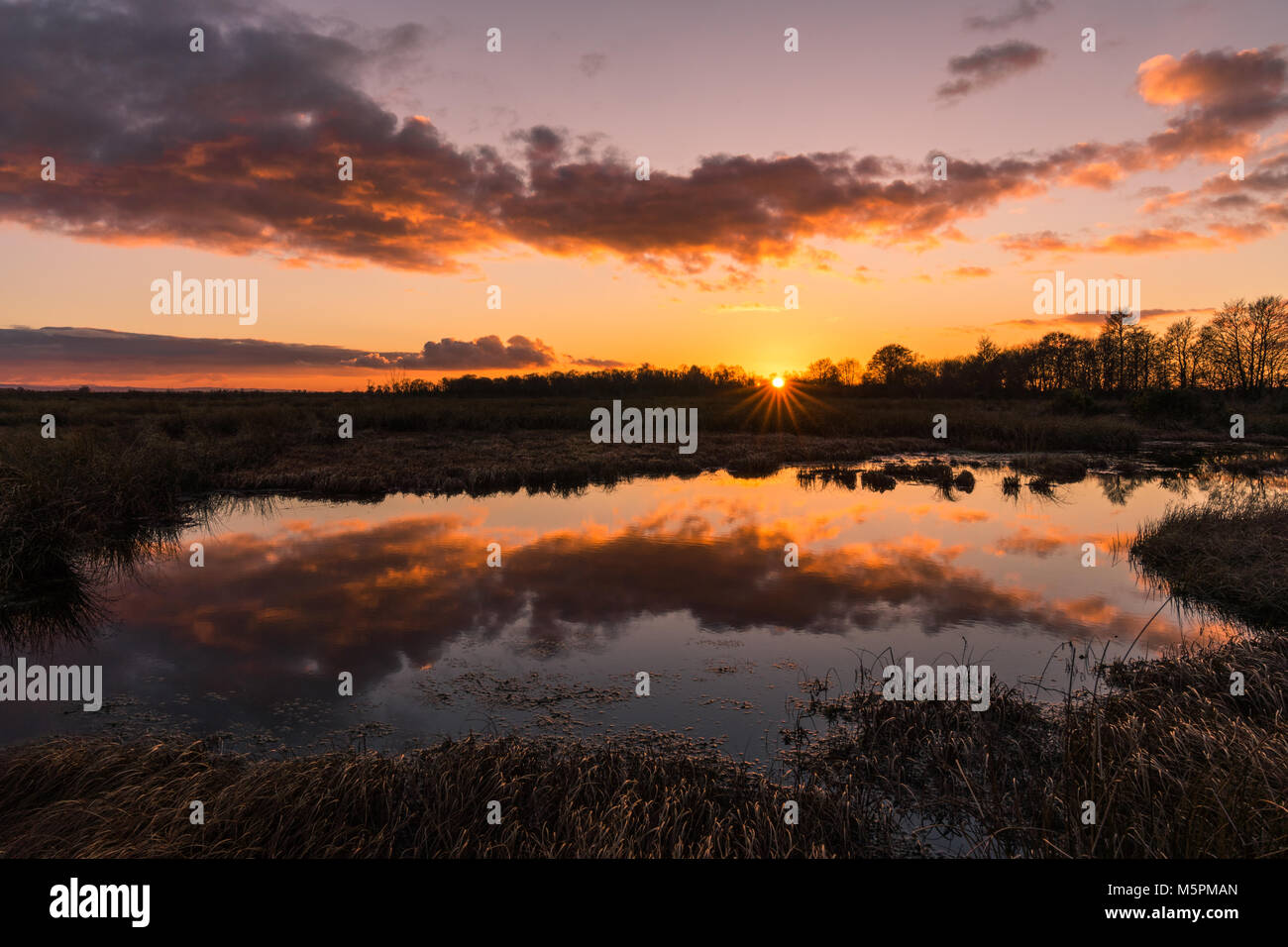Drumburgh reserve hi-res stock photography and images - Alamy