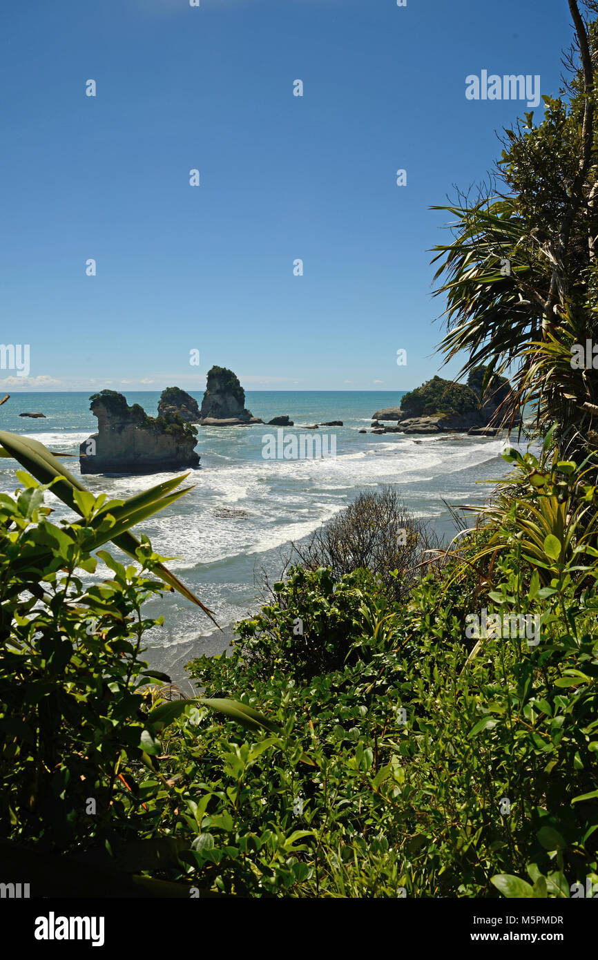 native bush frames a beach at low tide on a West Coast beach, South Island, New Zealand Stock Photo