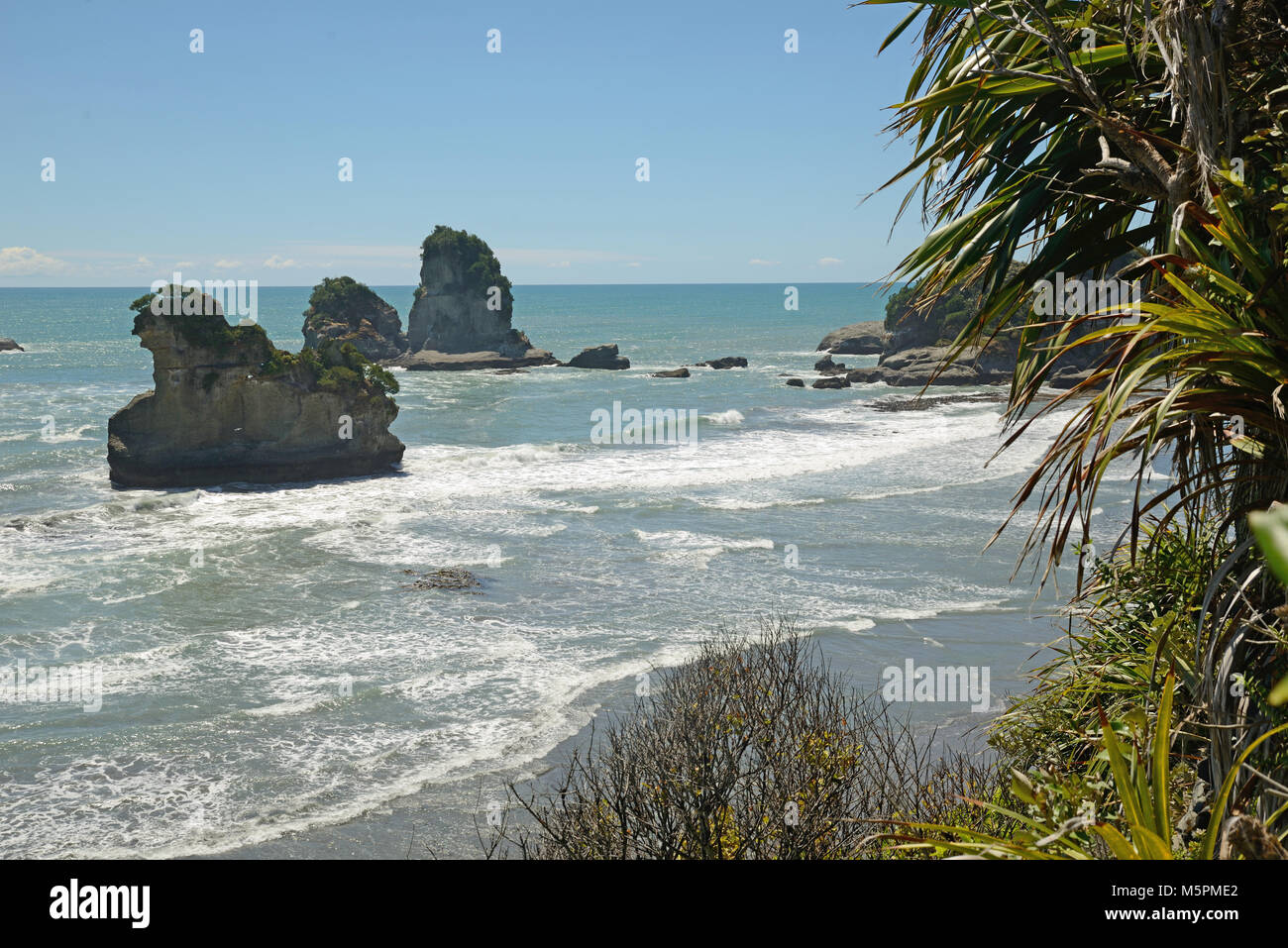 native bush frames a beach at low tide on a West Coast beach, South Island, New Zealand Stock Photo