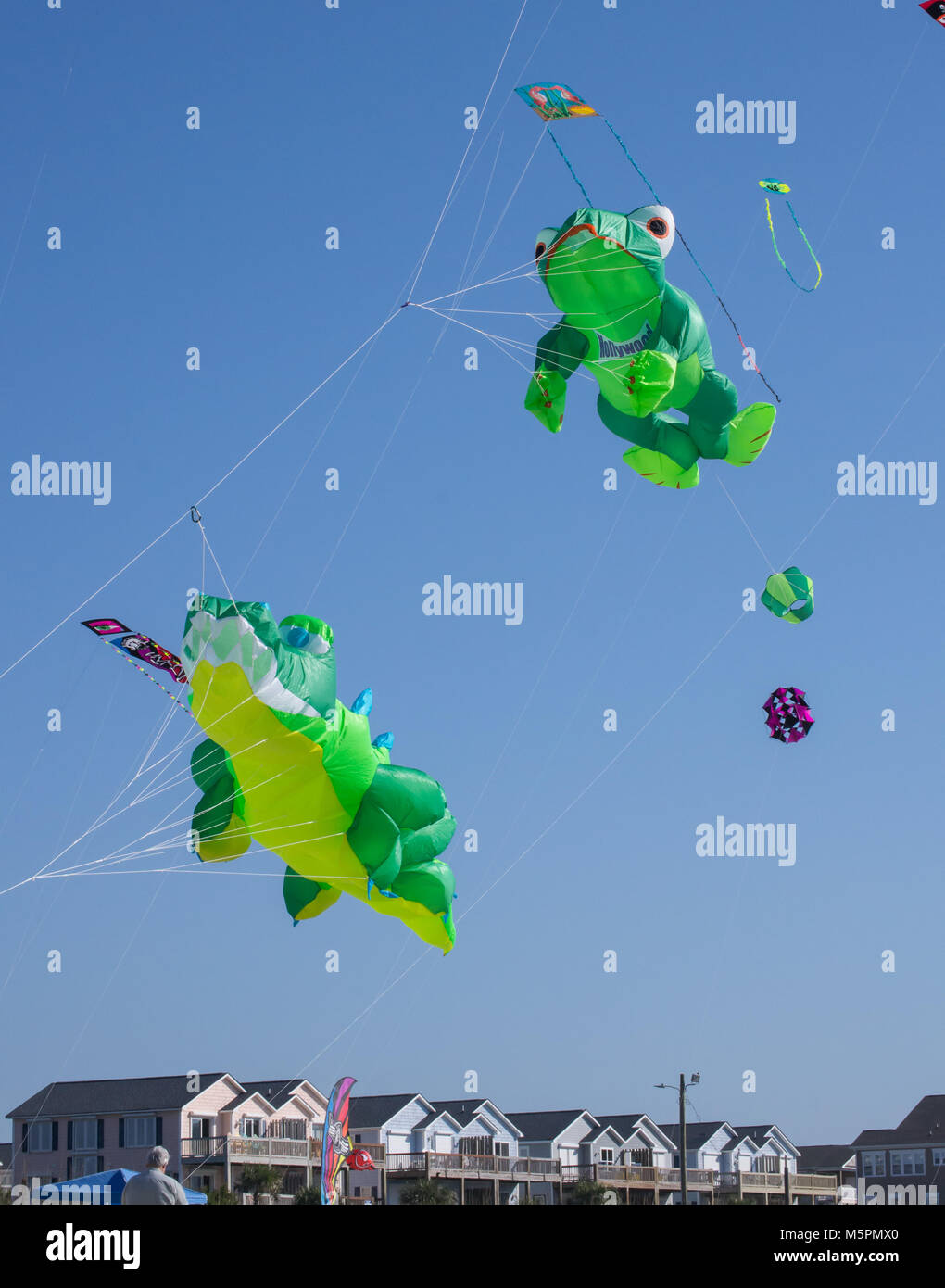 Go fly a kite! On the beach this family fun hobby fills the sky with