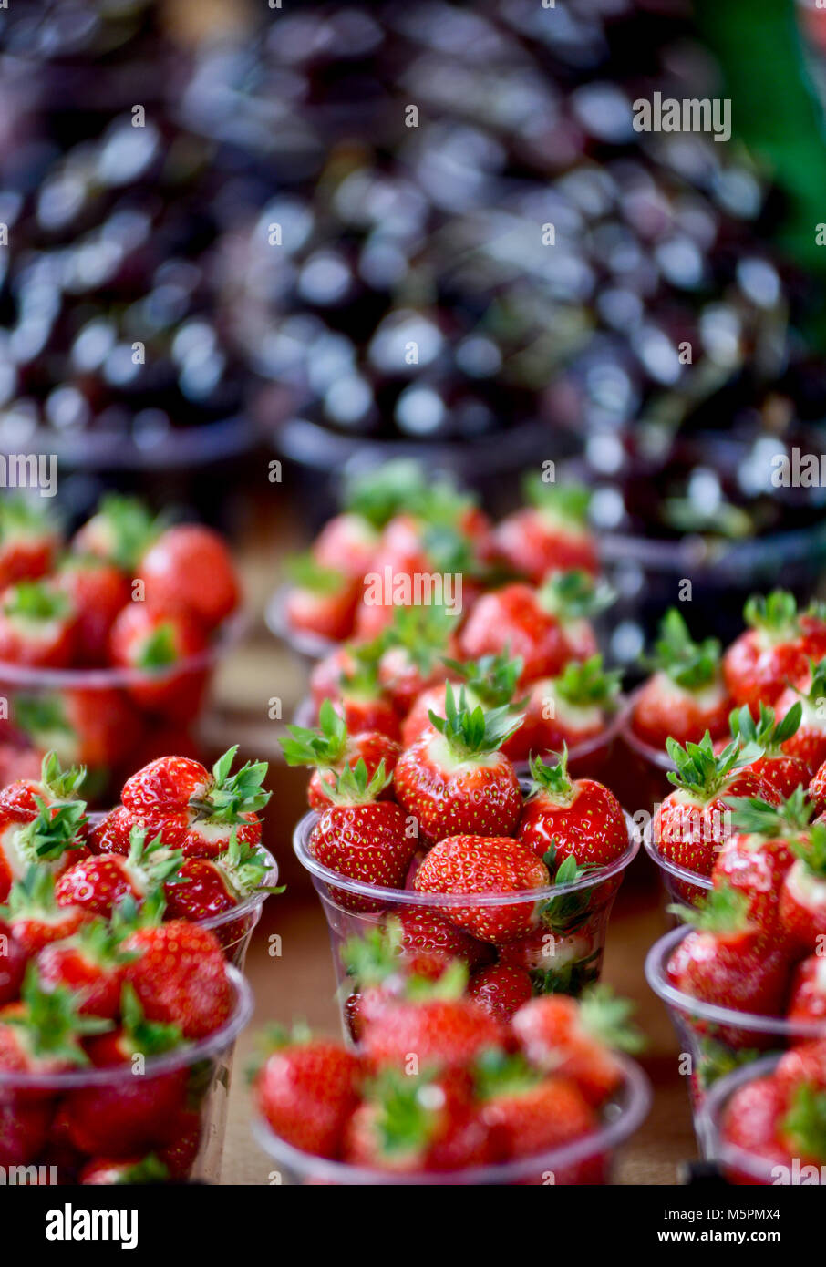 Strawberries on sale, Fish Market  - Fisketorget, Bergen, Norway Stock Photo