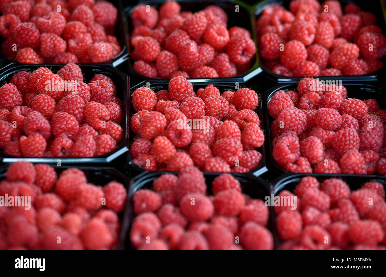Raspberries for sale, Fish Market  - Fisketorget, Bergen, Norway Stock Photo
