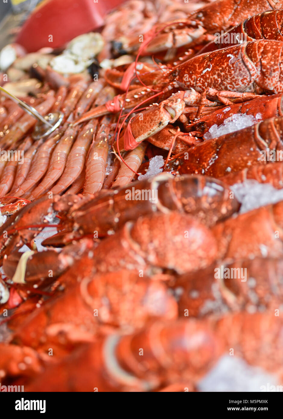 Lobsters for sale, Fish Market  - Fisketorget, Bergen, Norway Stock Photo