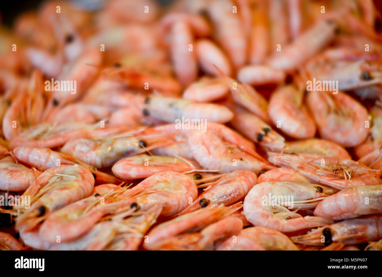Shrimps for sale, Fish Market - Fisketorget, Bergen, Norway Stock Photo