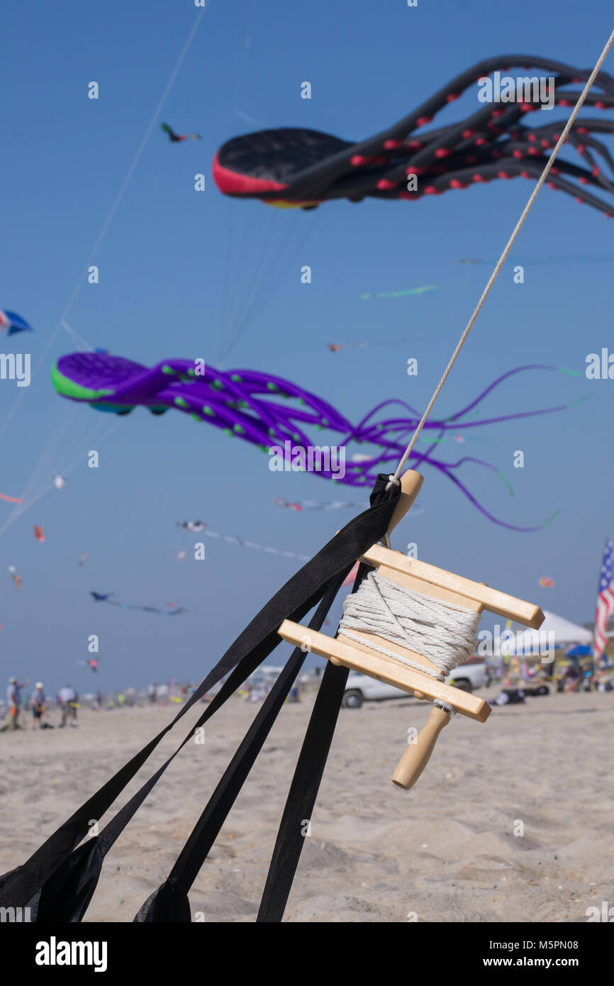 Go fly a kite! On the beach this family fun hobby fills the sky with