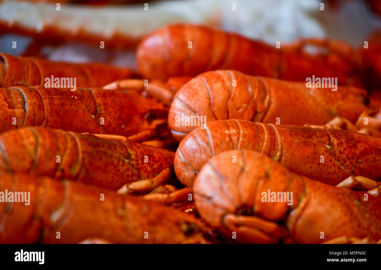 Shrimps for sale, Fish Market - Fisketorget, Bergen, Norway Stock Photo