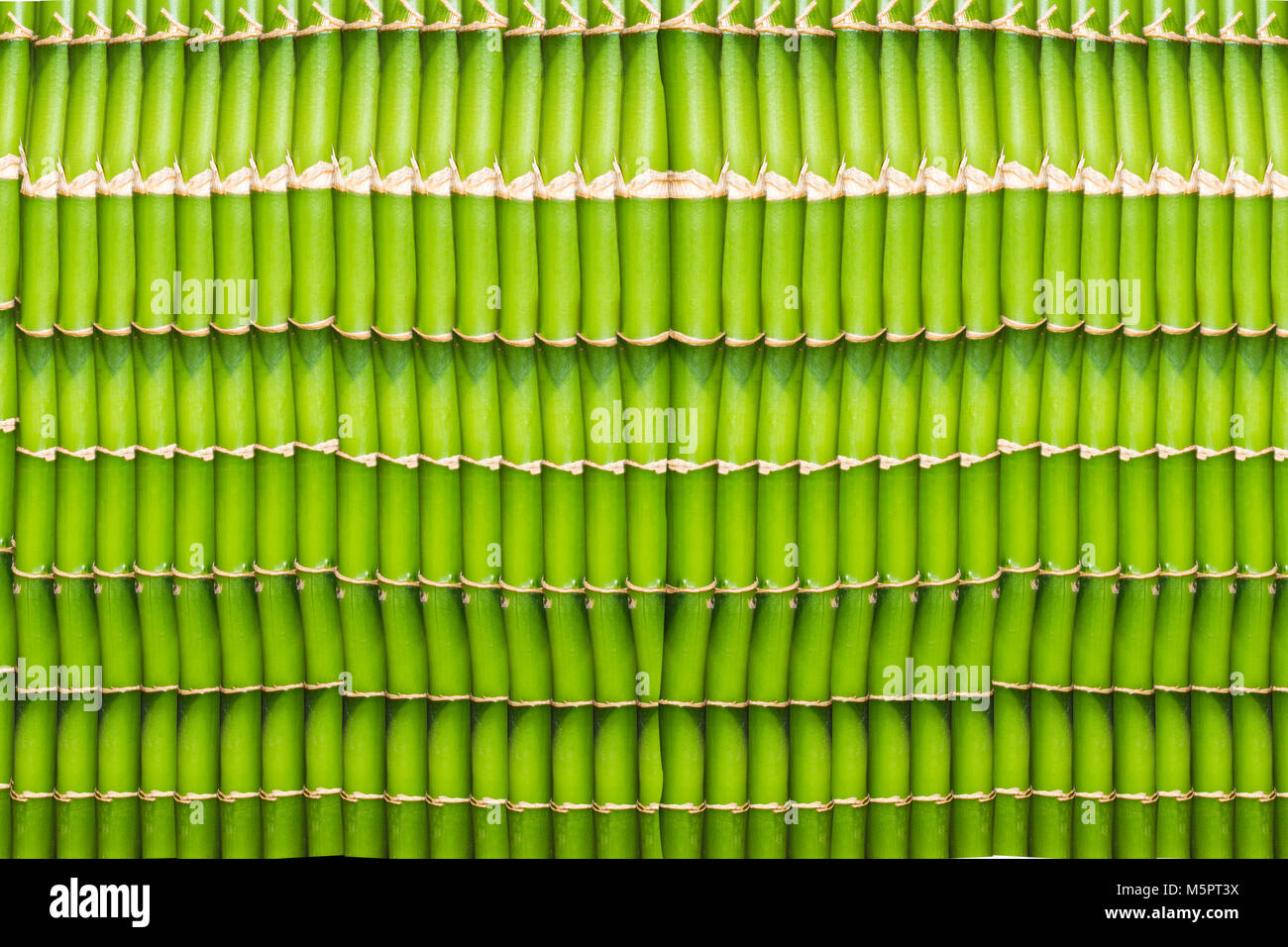 a lot of green bamboo sticks formed into a single background Stock
