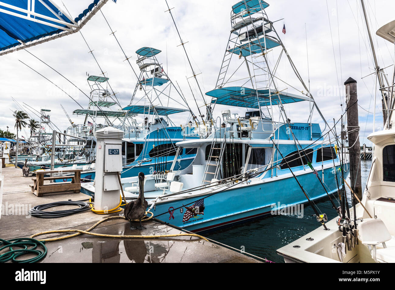 Fishing boats moored at Bill Bird marina, Haulover Park, Miami, Florida, USA. Stock Photo