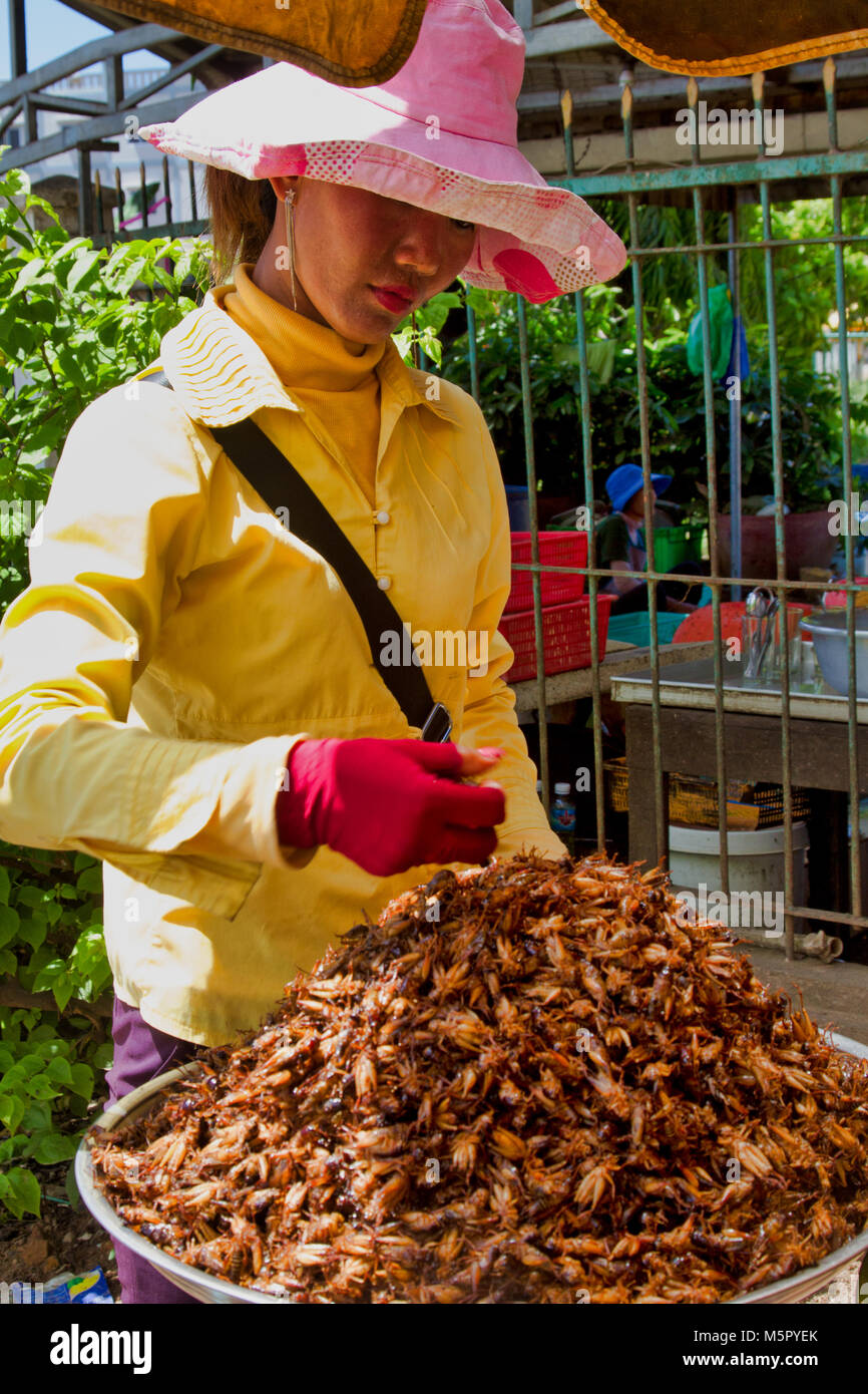 A Cambodian street vendor sells mounds of roasted insects at a food stall, Cambodia Stock Photo