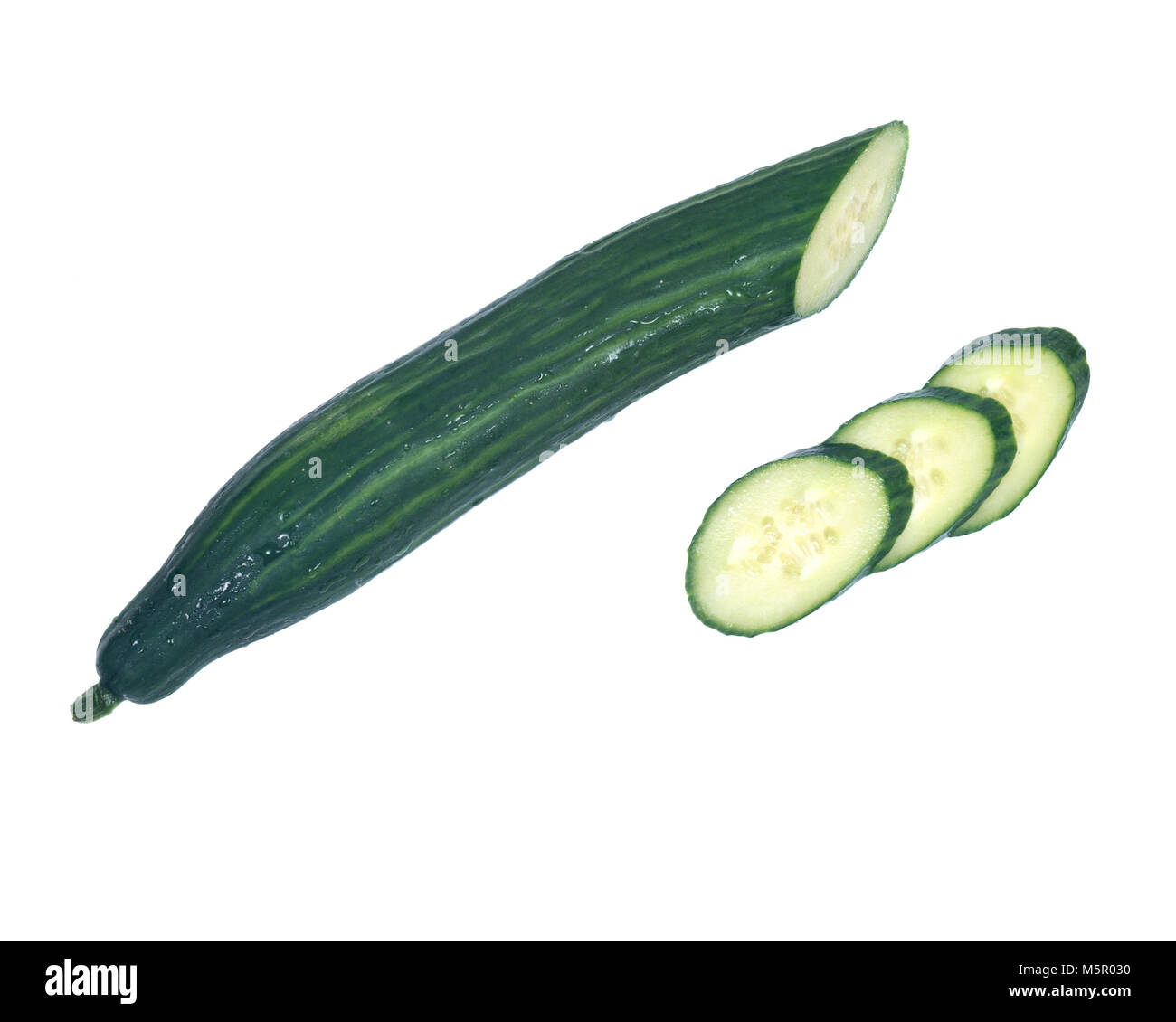 Long fresh english cucumber from greenhouse isolated on white