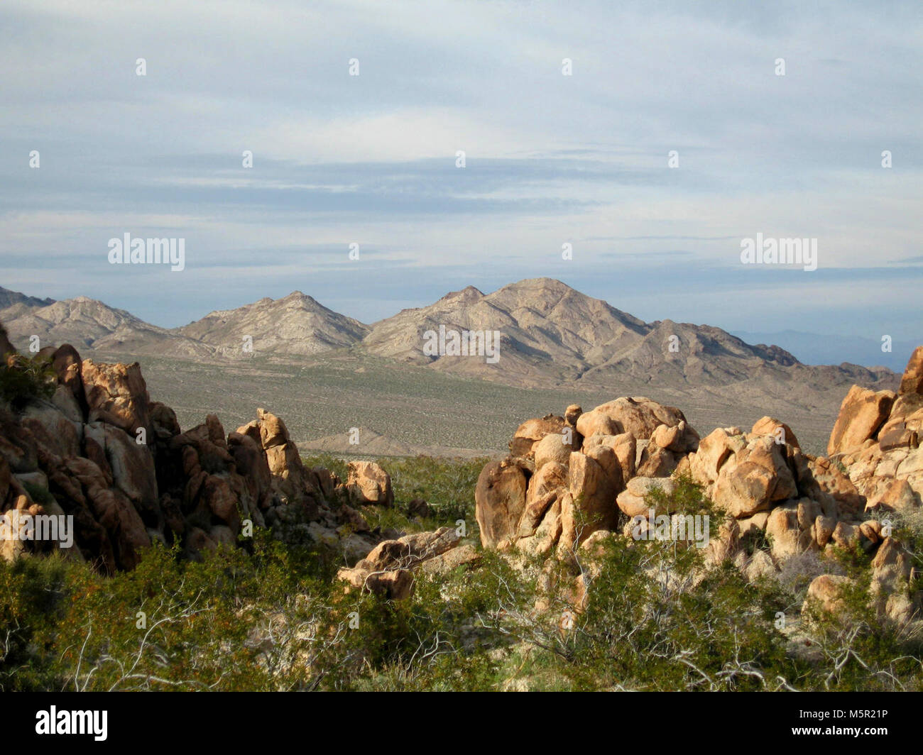 Cleghorn Wilderness Stock Photo Alamy