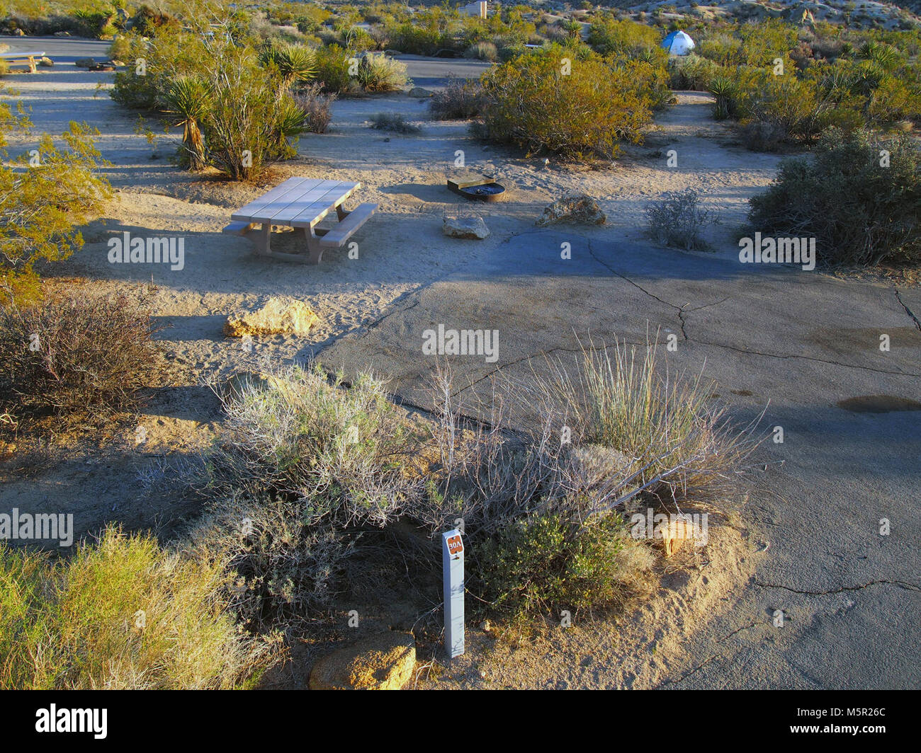 Cottonwood Campground . Cottonwood Campground is one of the best places in Joshua Tree National