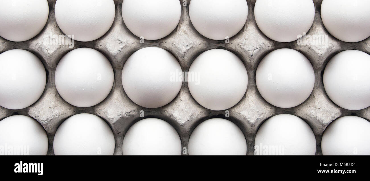 White eggs in a carton Stock Photo