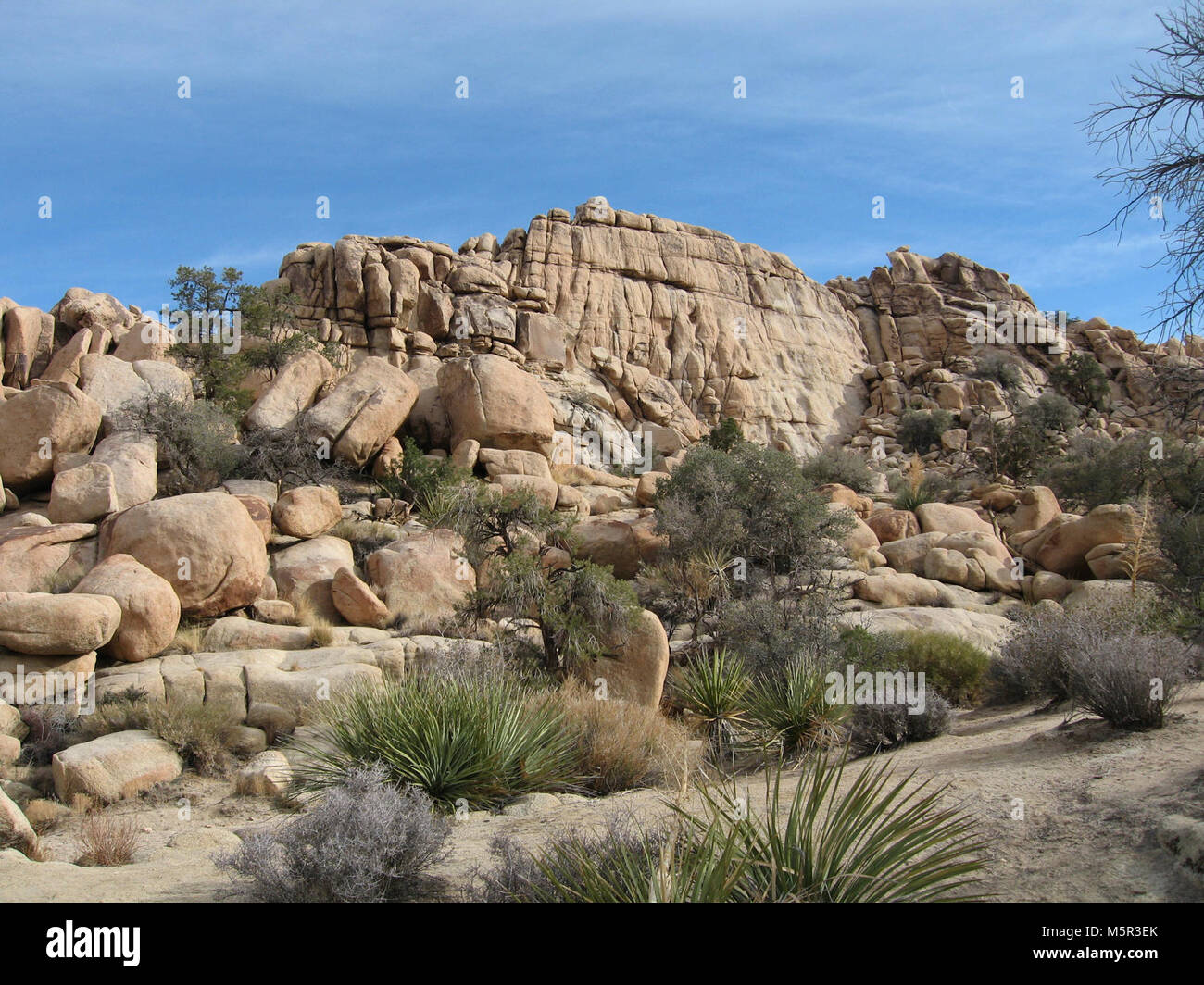 Hidden valley. Joshua Tree National Park next exit чехол. Joshua Tree National Park next exit. Hidden Valley Colorado Springs Gelvin Family.