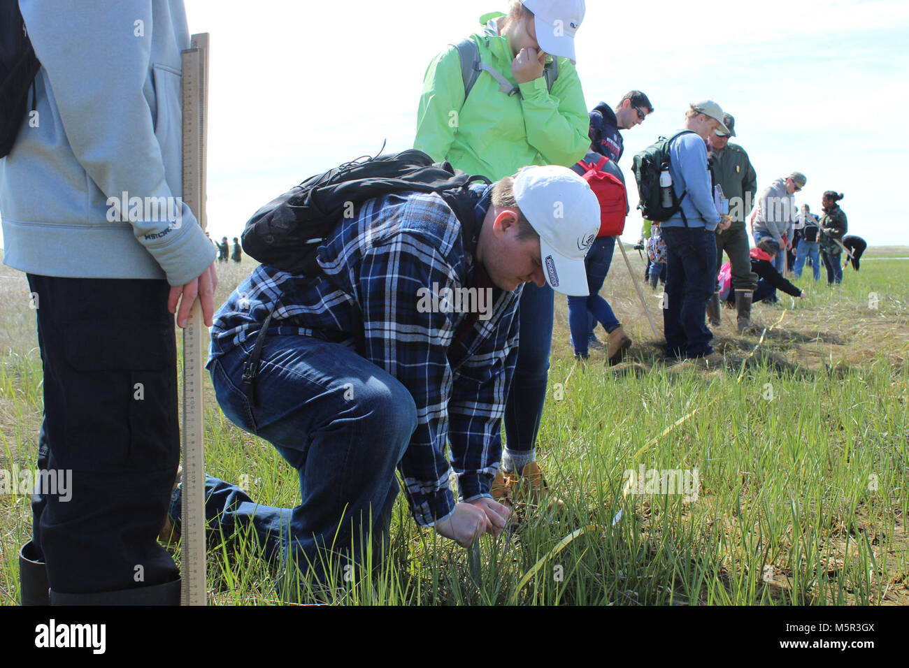 Marsh Core Sample IMG . A student from Minuteman High School takes a salt marsh core ...