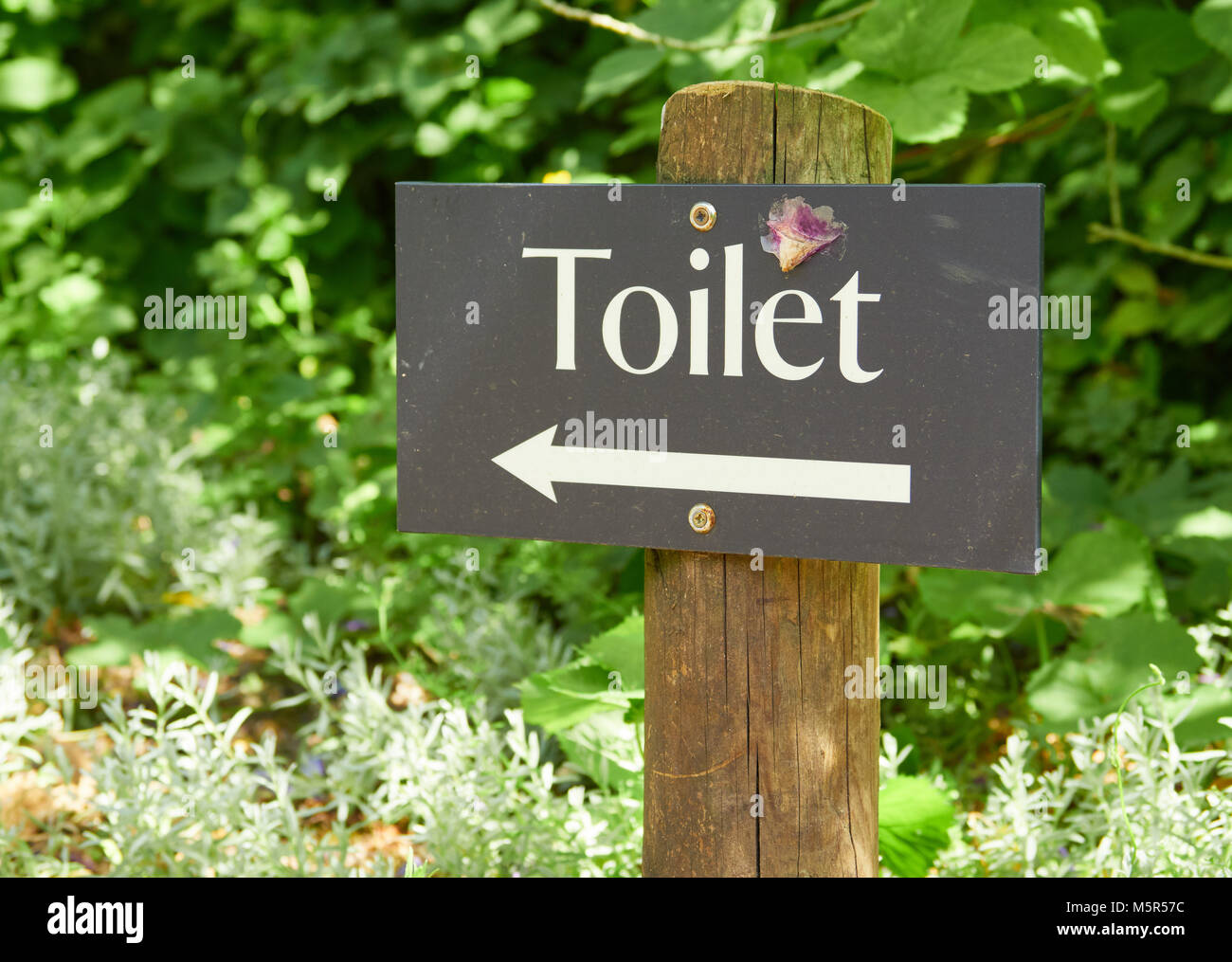 A slate sign giving directions to the toilet. Stock Photo