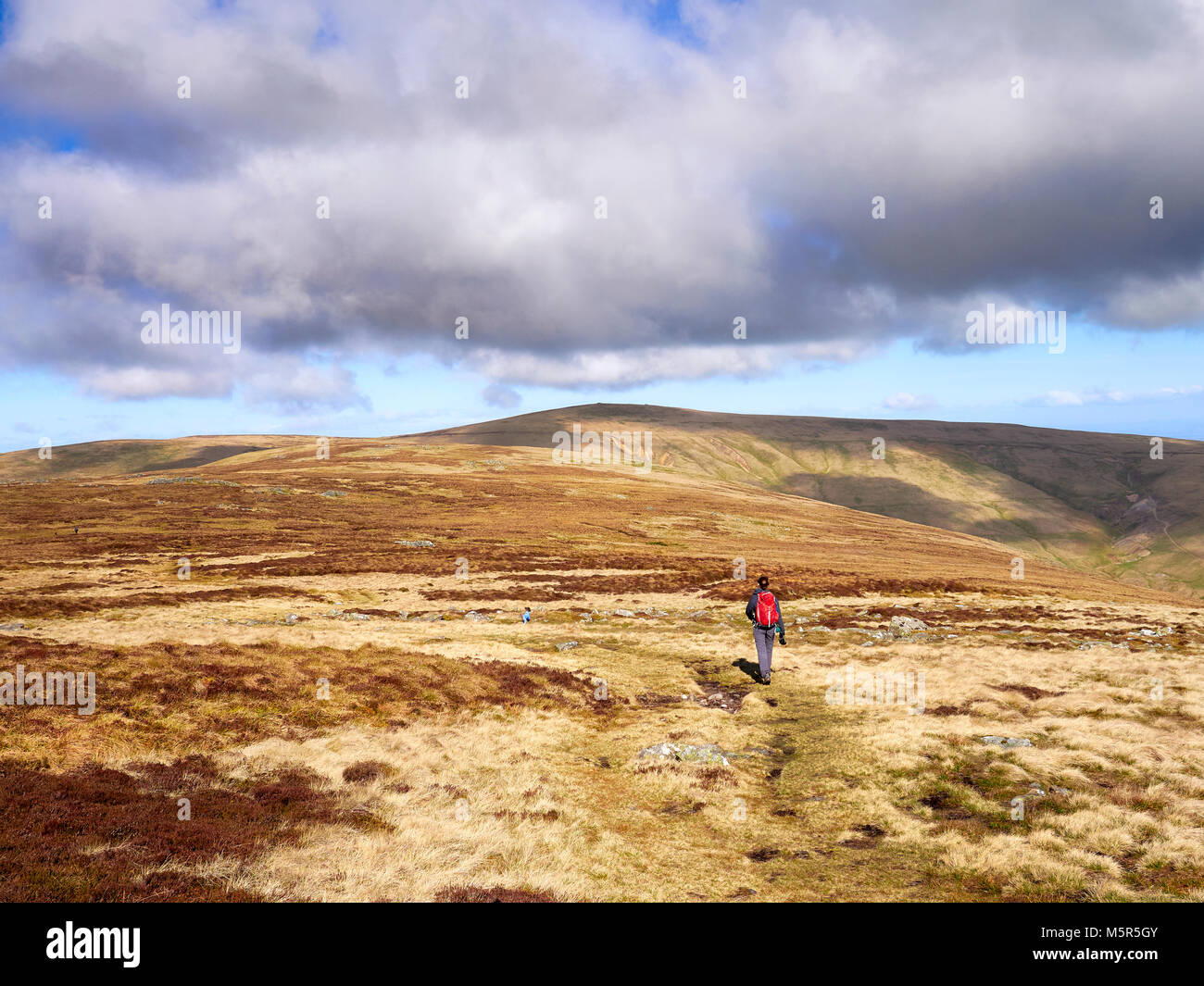 A hiker walking towards Miton Hill and High Pike from the summit of Carrock Fell in the English Lake District, UK. Stock Photo