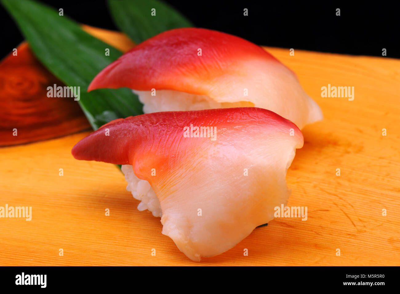 The Stimpson surf clam Japanese Hokkigai fresh raw sushi sashimi