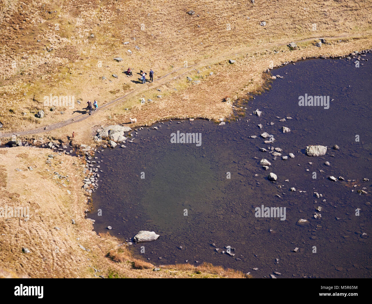 Aerial view of Bowscale Tarn with hikers, walkers relaxing beside it in the English Lake District, UK. Stock Photo