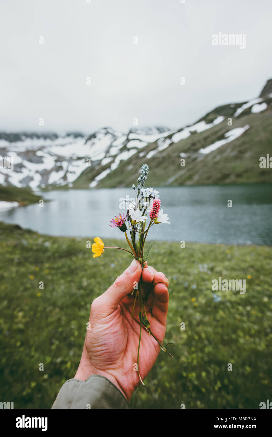 Hand holding flowers mountains and lake Landscape on background Summer Travel vacations and ecology concept Stock Photo