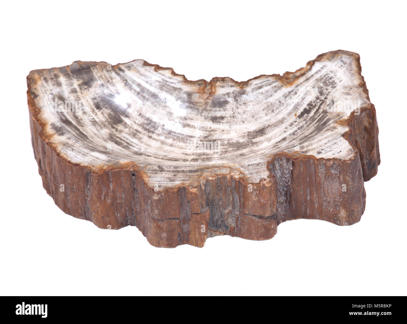 Petrified wood carving isolated on white background Stock Photo - Alamy