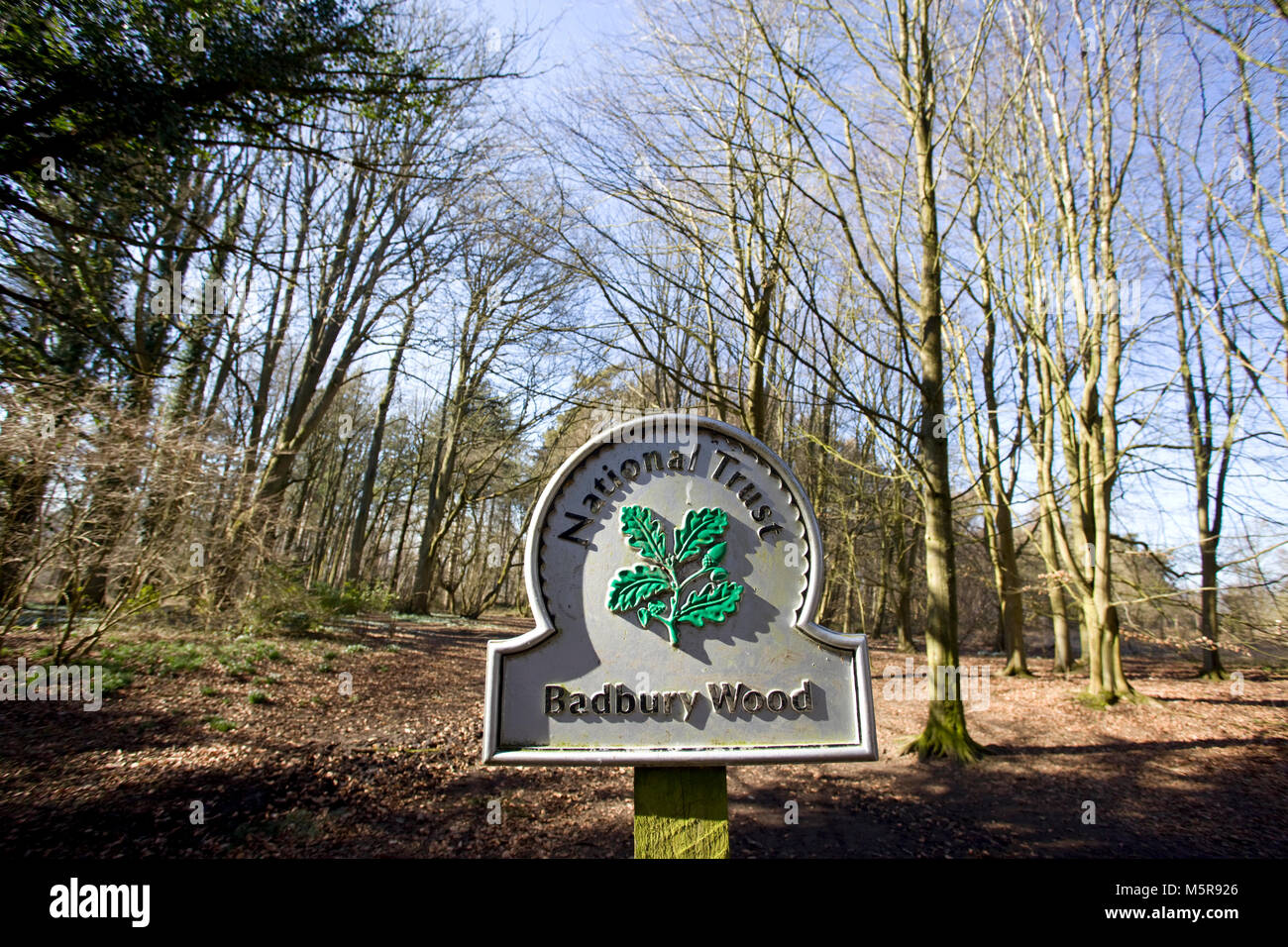 Badbury Wood sign. Great Cowell Faringdon Stock Photo - Alamy