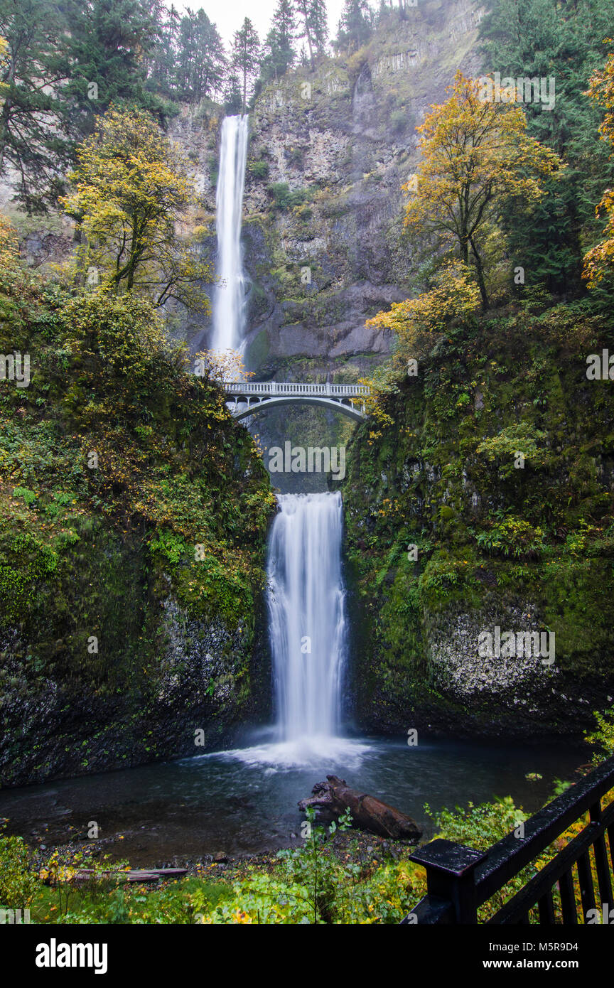 Multnomah Falls is the Columbia Gorge Natioanl Scenic Area is one of the most visited attractions in Oregon Stock Photo