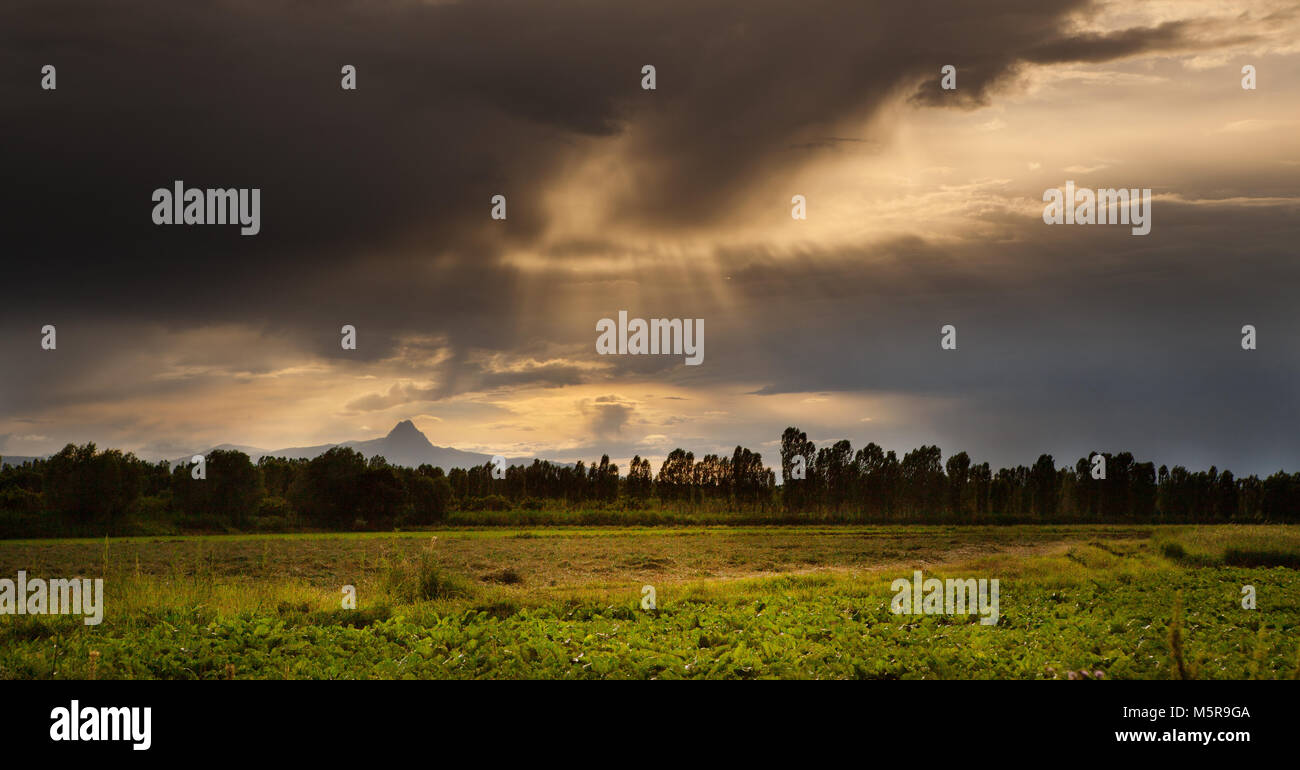 sunset in agricultural land Stock Photo