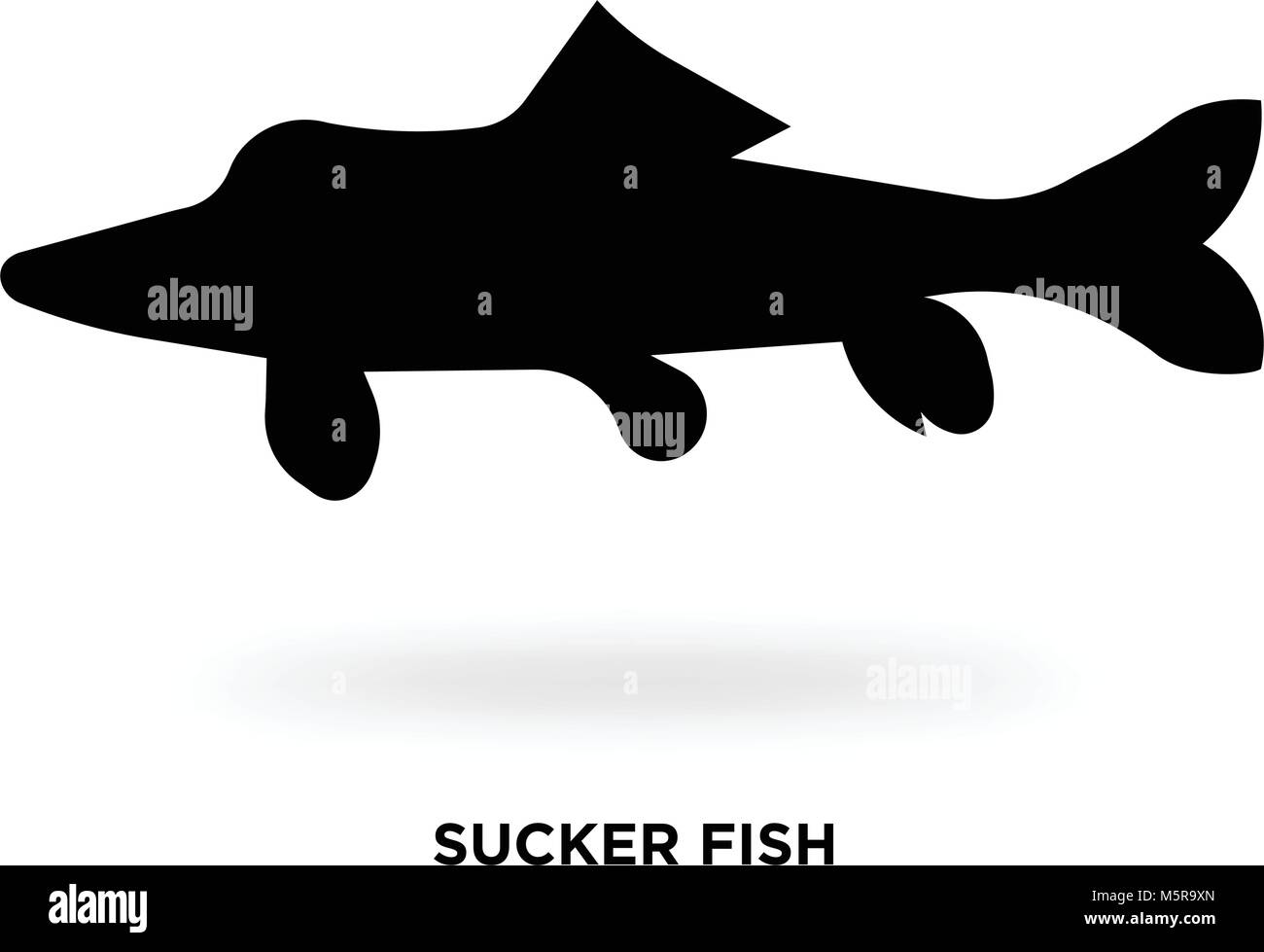 sucker fish silhouette Stock Vector