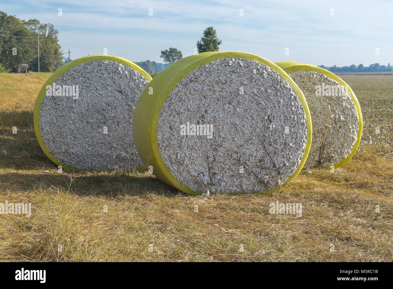 Round cotton bales hires stock photography and images Alamy