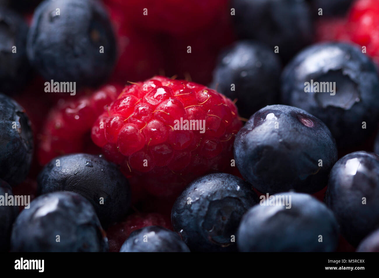 sweet sweet berries Stock Photo Alamy