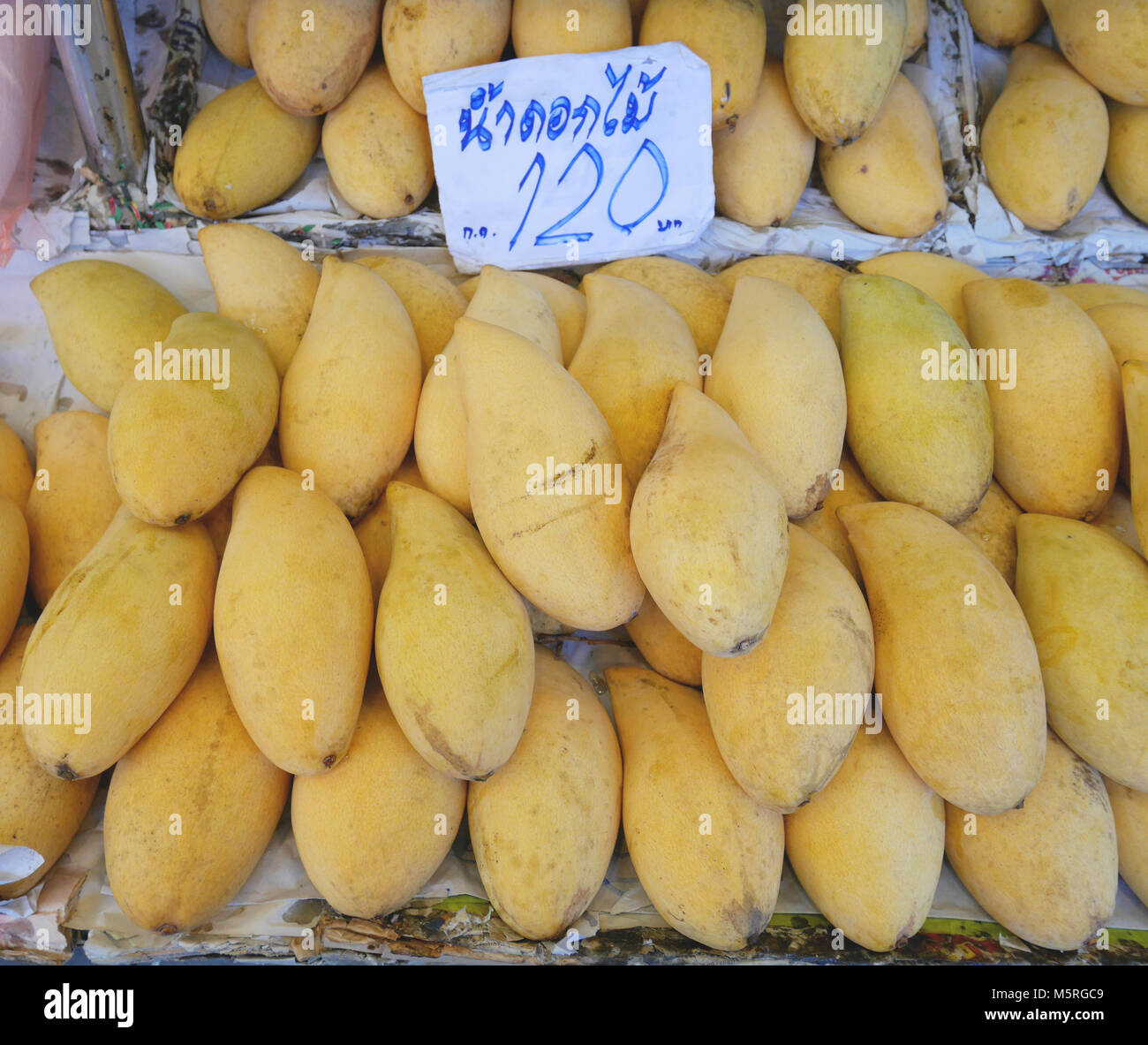 Ripe "Nam Dok Mai" mango on sale. Sign in Thai language saying "Nam Dok Mai 120 Baht Stock Photo