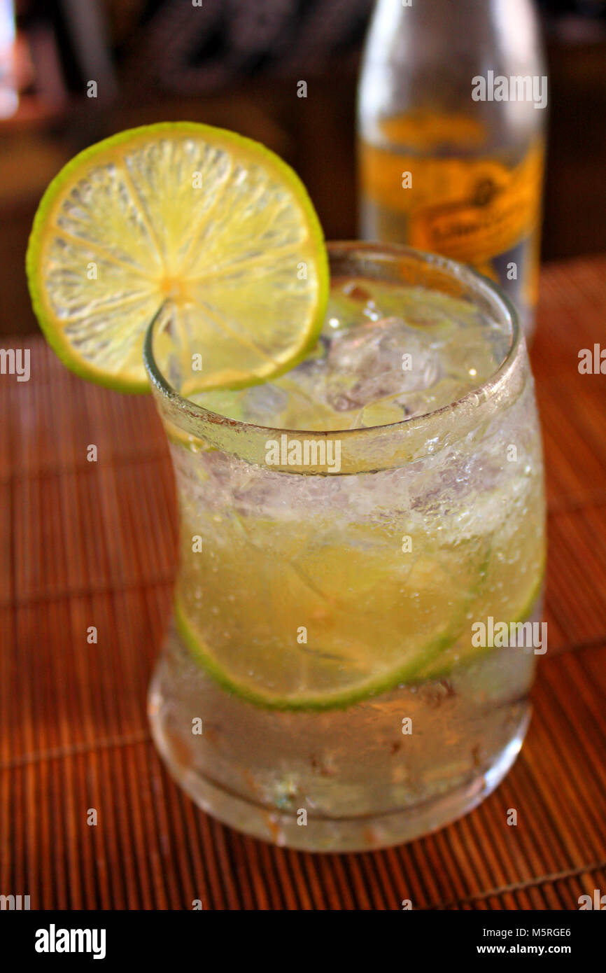 Glass of iced gin tonic soda with lemon slices Stock Photo Alamy