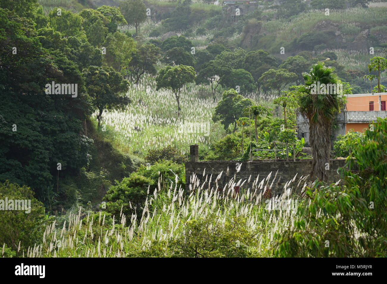 Farmhouses and Landscape of  Paul Valley,  Santo Antão, Cape Verde Stock Photo